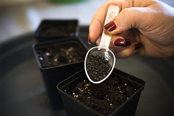 Easy Roots - Mezcla de micorrizas