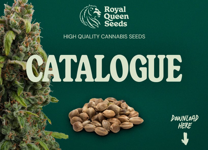 Cannabis Seed Catalogue