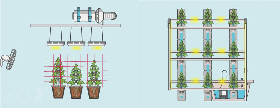 Difference between horizontal and vertical farming in Hydroponics System